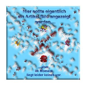 Western Stecker 8/4 - Western Stecker 6/4, weiß, 6m 70256-W